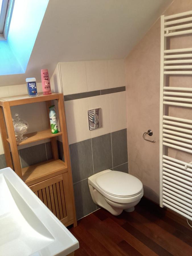 Fabyann Bed & Breakfast Marieulles Luaran gambar
